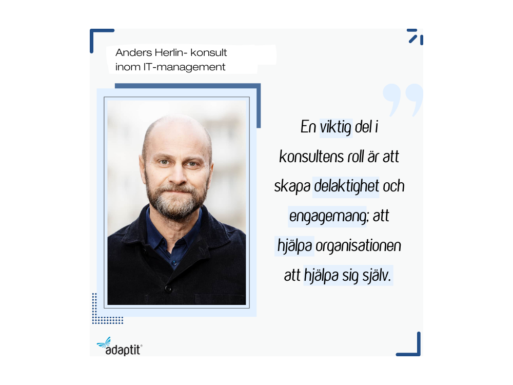 Anders-herlin-konsult-inom-IT-management